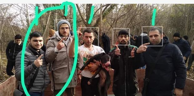 Задержаны организаторы собачьих боев в Абшеронском районе