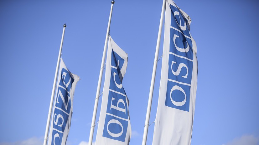 В ОБСЕ обеспокоены применением силы против журналистов в США