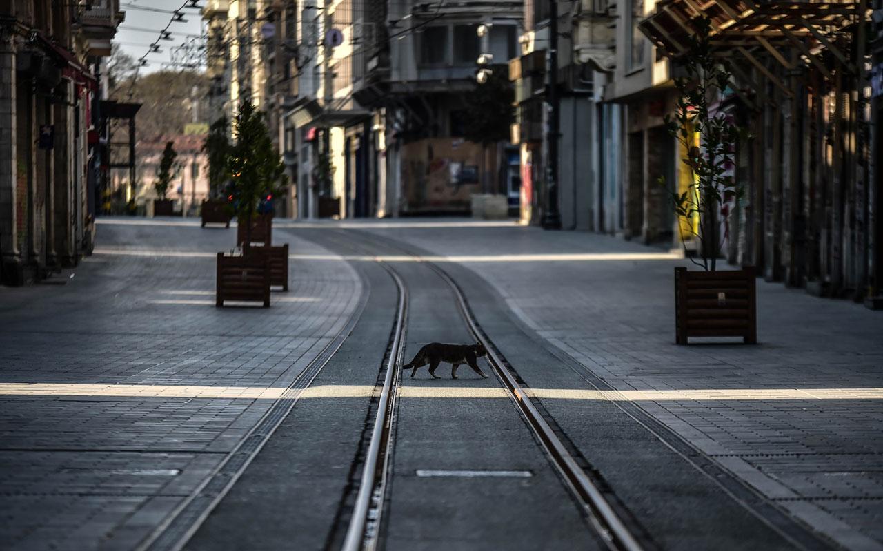 В 16 городах и районах Азербайджана движение общественного транспорта запрещено в выходные дни