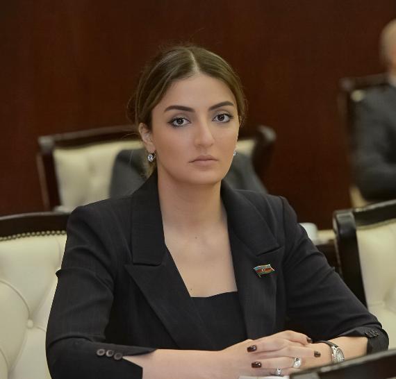 Депутат: Обстрел мирного населения с армянской стороны должен быть подвергнут серьезному осуждению