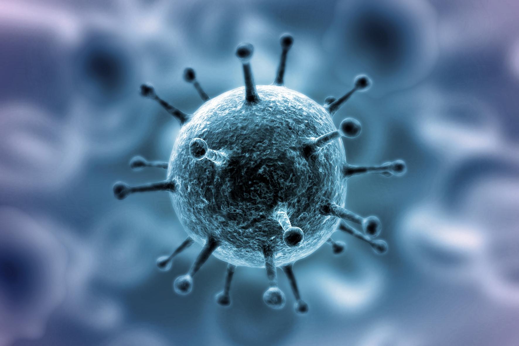ВОЗ: Cезон не влияет на передачу коронавируса