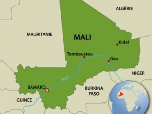 После военного переворота в Мали назначили временного президента