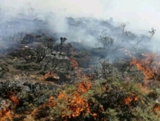 Пожар в горной местности в Астаре