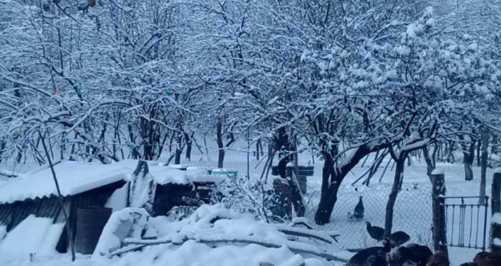 Азербайджан накрыло снегом