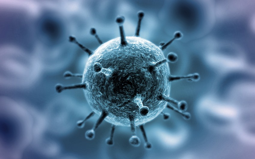 Ученые выделили гены, которые влияют на защиту от коронавируса