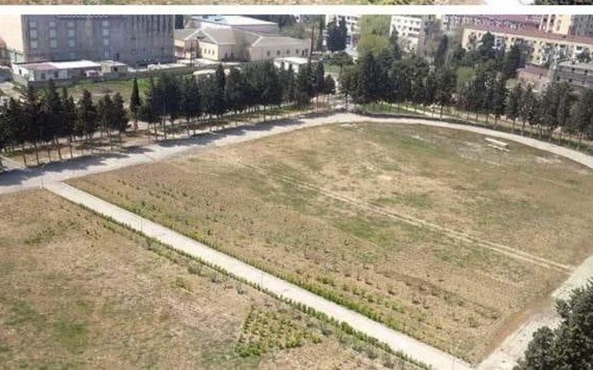 Sumqayıtda stadionun ortasından asfalt yol çəkildi - FOTO