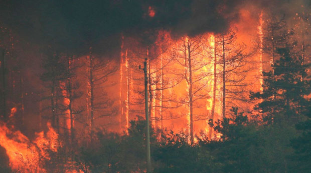 На юго-западе Болгарии бушуют пожары, есть пострадавшие