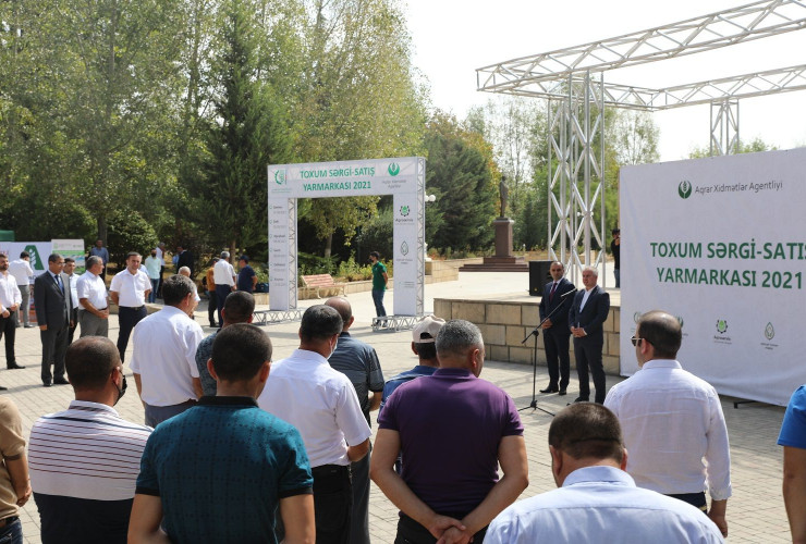 Azərbaycanda toxum sərgi-satış yarmarkasına start verilib - FOTO