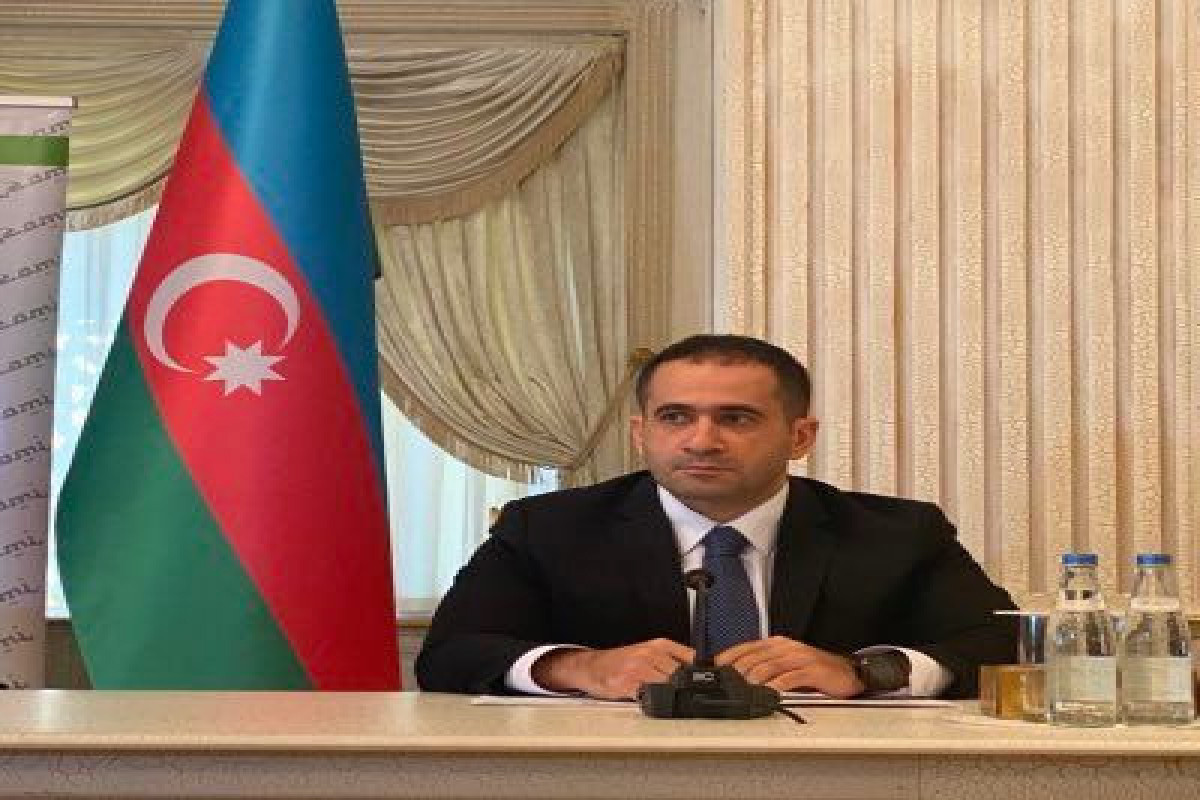 Elnur Aliyev was appointed first deputy minister of culture of Azerbaijan