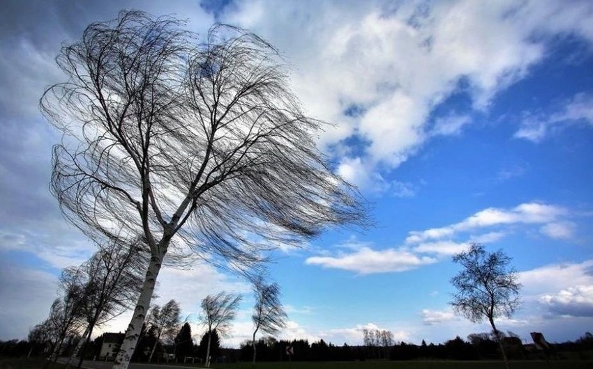 Strong wind expected in Azerbaijan on October 22