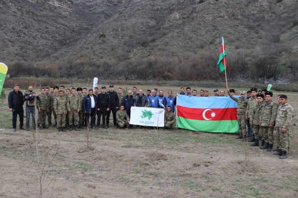 Laçında ağacəkmə aksiyası keçirildi - FOTOLAR