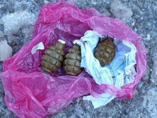 В Губе обнаружены ручные гранаты
