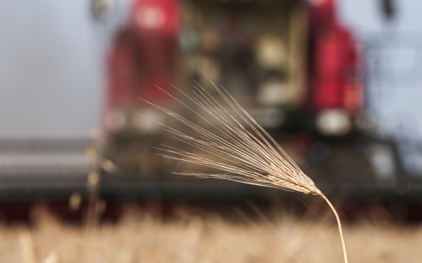 US may lift sanctions from Belarus in exchange for grain export from Ukraine
