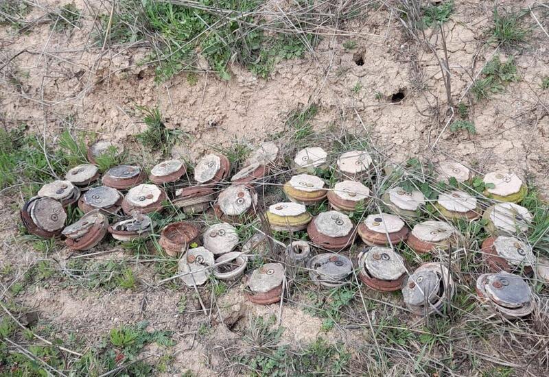 Over 2,440 mines found in liberated territories last month