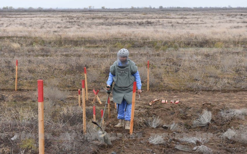 Another 146 mines found in liberated territories of Azerbaijan