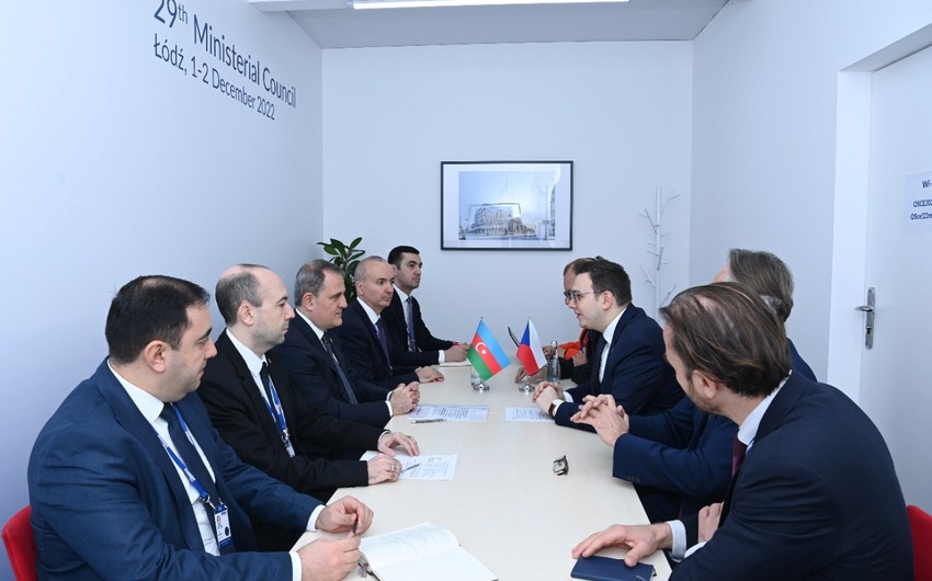 Azerbaijani, Czech FMs hold meeting