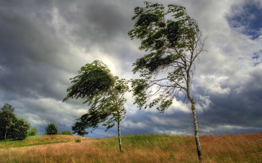 Strong wind expected tomorrow – WARNING 