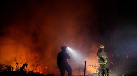 В Чили 22 человека стали жертвами лесных пожаров