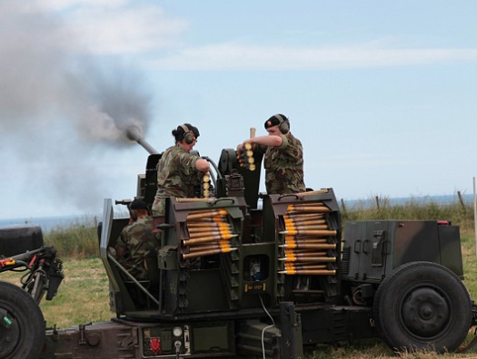 Литва передаст Украине зенитные орудия Bofors L70