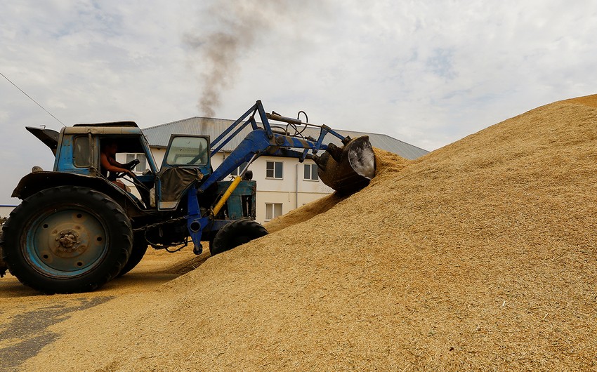 Grain deal sends grain prices for Japan down