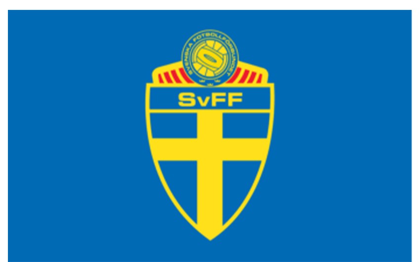 Федерация футбола Швеции: Мы не допустим никаких провокаций 