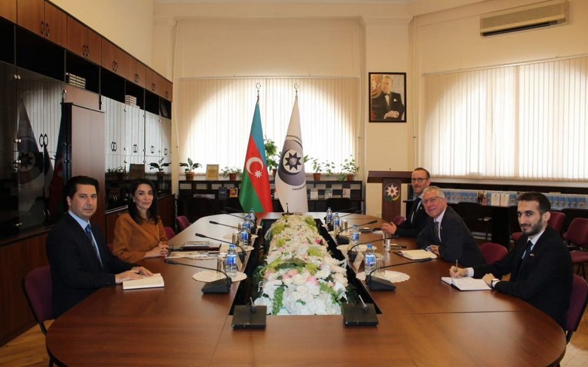 British ambassador, Azerbaijani ombudsperson mull cooperation issues