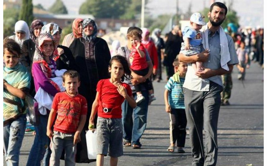 412 Azerbaijani citizens repatriated from Syria, Iraq - OFFICIAL