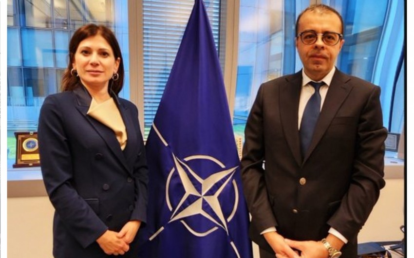 Azerbaijani envoy meets with NATO Secretary General’s special representative