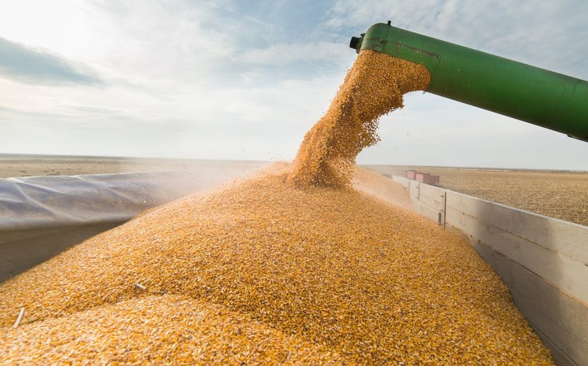 Talks on grain deal scheduled for May 3