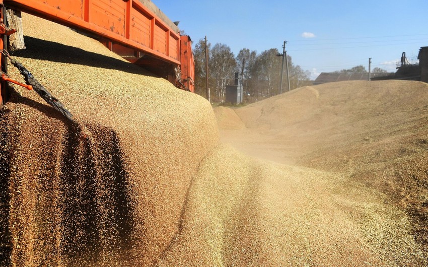 Representatives of Russia, Ukraine and Türkiye to discuss grain deal in Istanbul