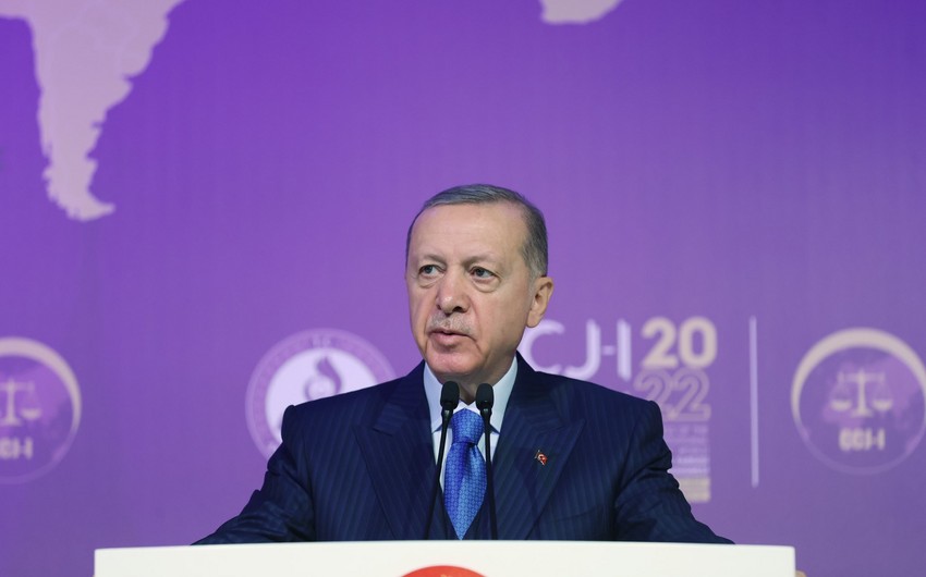 Erdogan: Türkiye not yet ready for Sweden's NATO accession