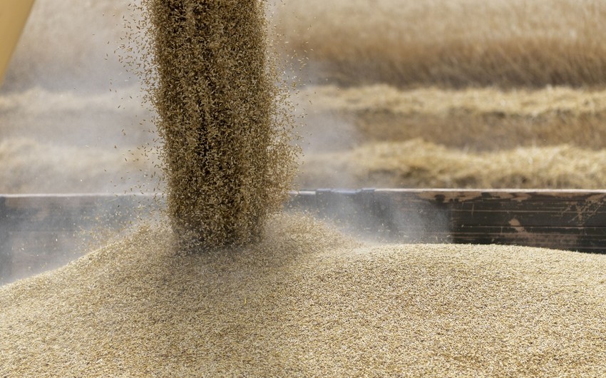 Geneva to host Russia-UN consultations on grain deal