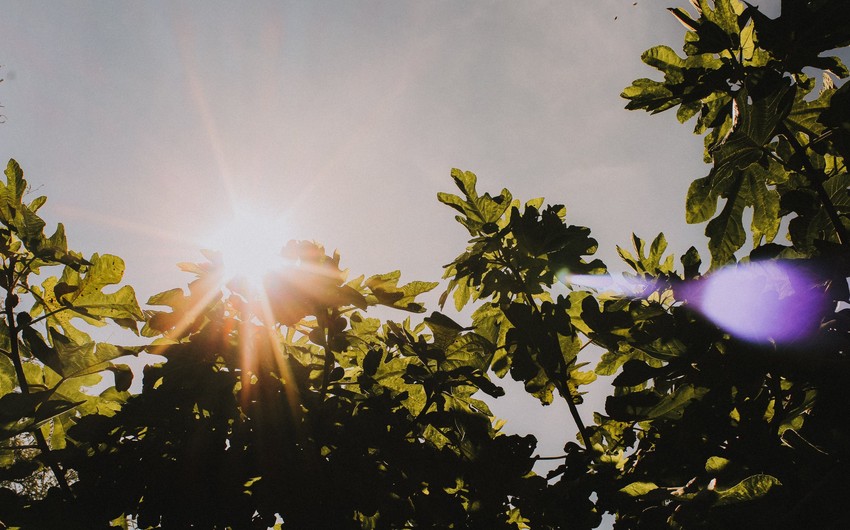 Azerbaijan weather forecast for July 12