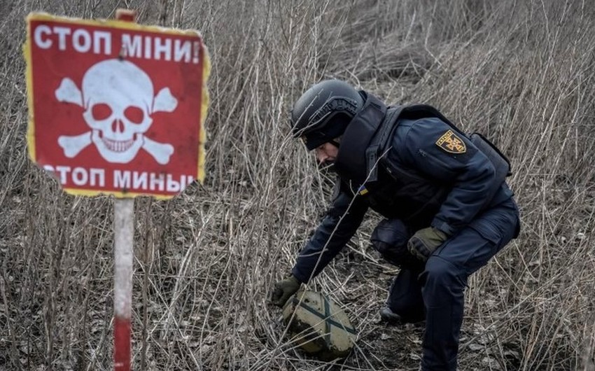 Croatia allocates 1M euros for demining efforts in Ukraine