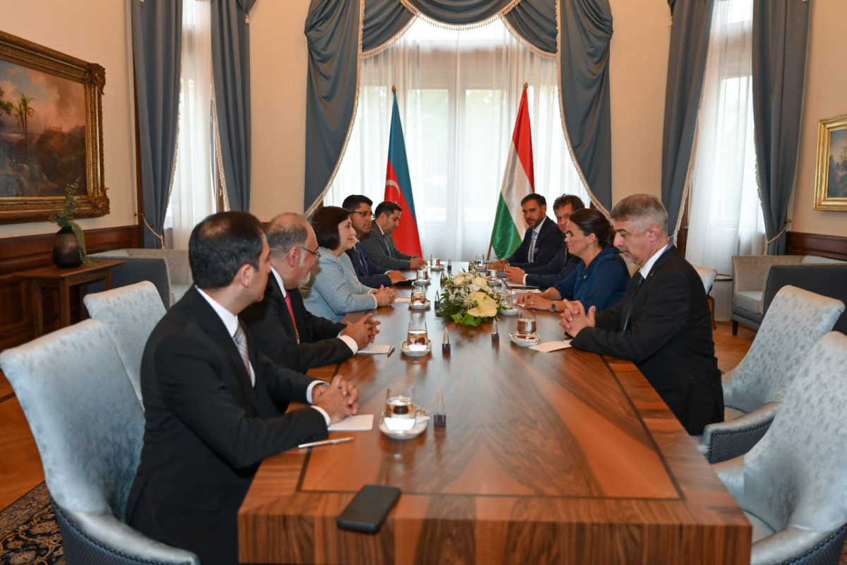 Sahibə Qafarova Macarıstan Prezidenti ilə görüşüb