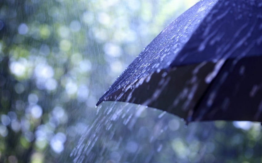 Rain, strong wind expected tomorrow