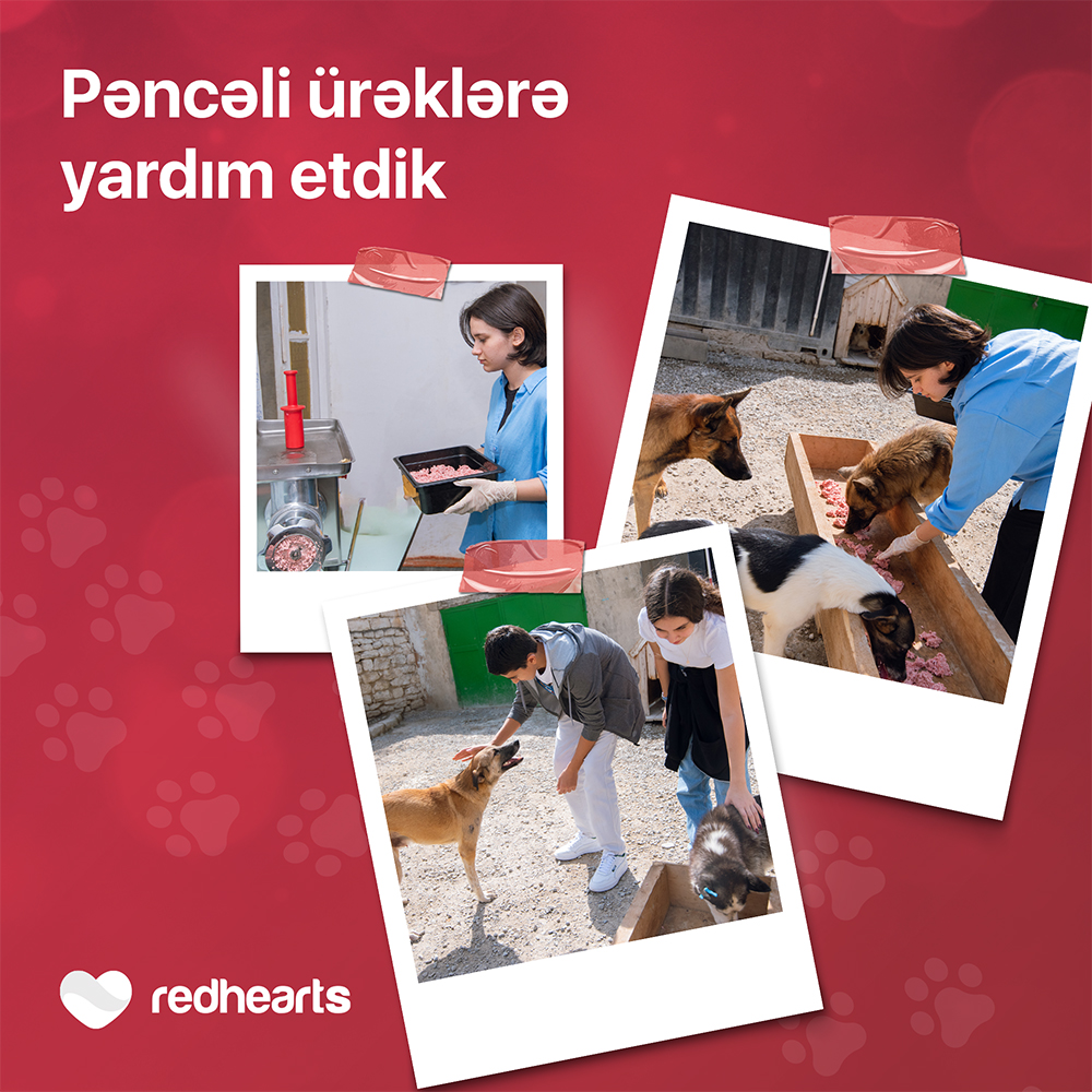 Red Hearts Volunteers Extend Helping Paw to Animal Shelter