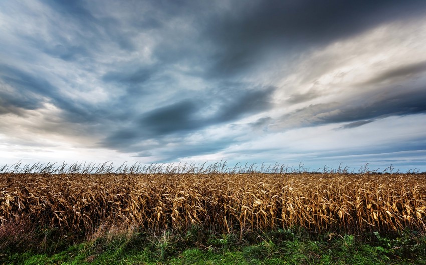 Azerbaijan weather forecast for October 26