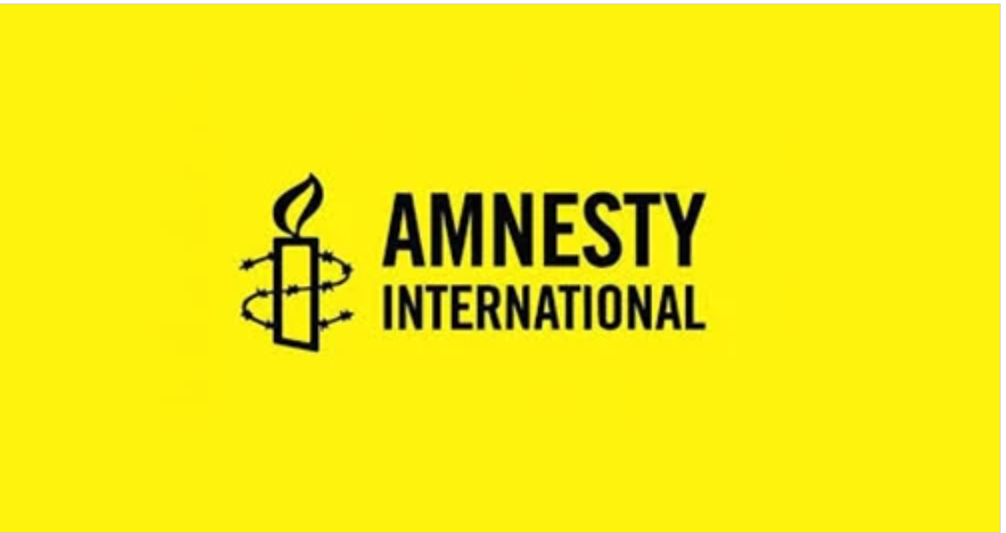 Amnesty International Qubad İbadoğlu ilə bağlı çağırış edib