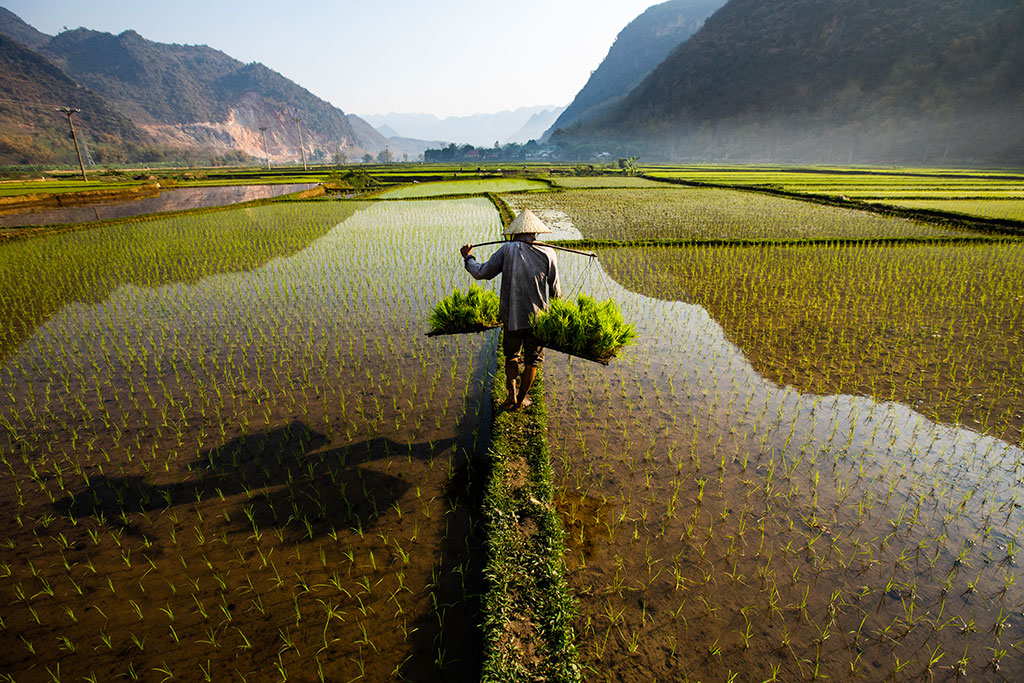 На востоке Китая нашли древнее рисовое поле возрастом 5,3 тыс. лет