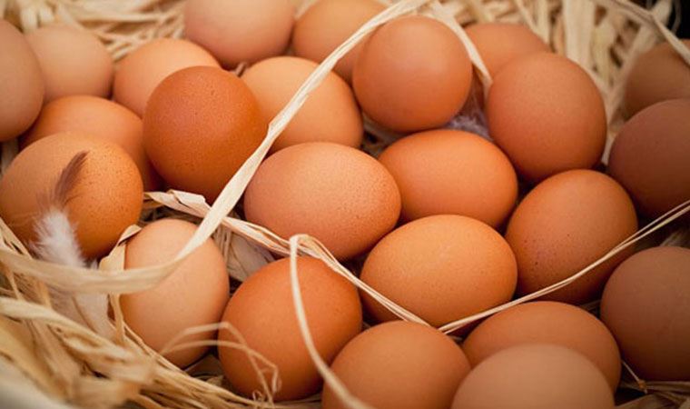 Rusiyaya 13 milyondan çox yumurta idxal edilib
