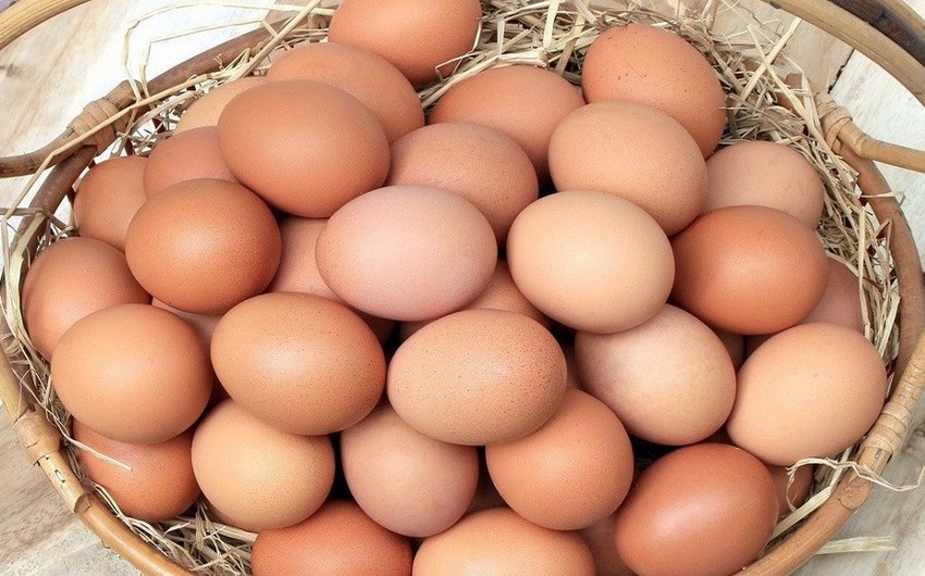Russia imports about 20 million eggs to from Azerbaijan, Türkiye