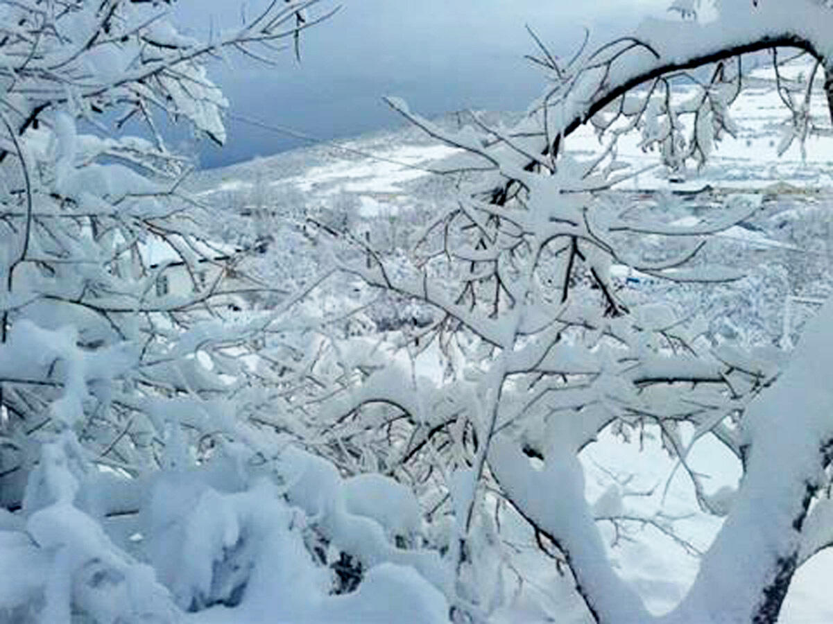 Высота снежного покрова в Шахдаге достигла 38 см - ФАКТИЧЕСКАЯ ПОГОДА