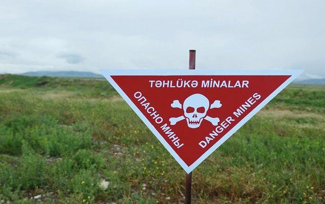 ANAMA head: 116,574 landmines and ammunition found in Azerbaijan’s liberated lands