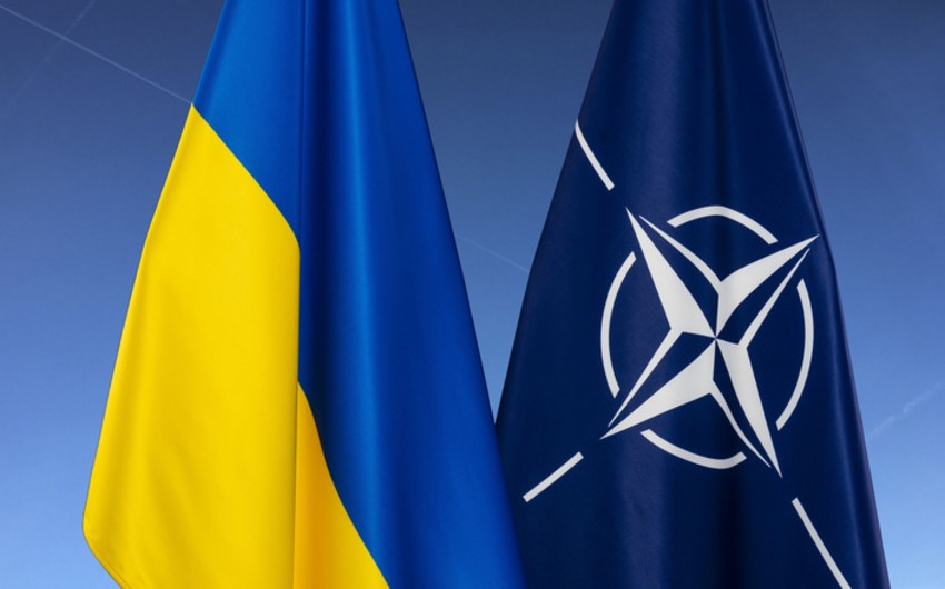 La Repubblica: Ukraine's territorial concession is being discussed in NATO
