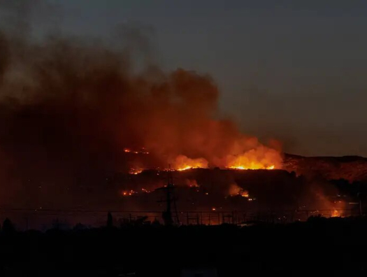 Грецию уже охватили лесные пожары