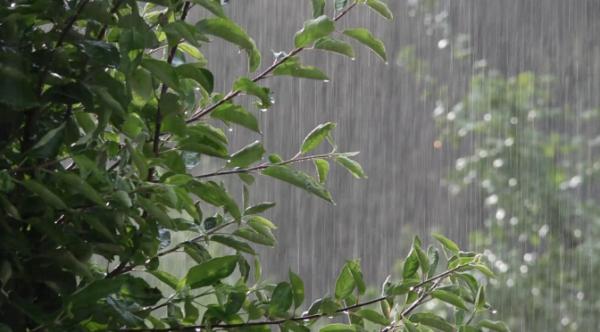Bu gün bəzi yerlərdə qısamüddətli yağış yağacağ - FAKTİKİ HAVA