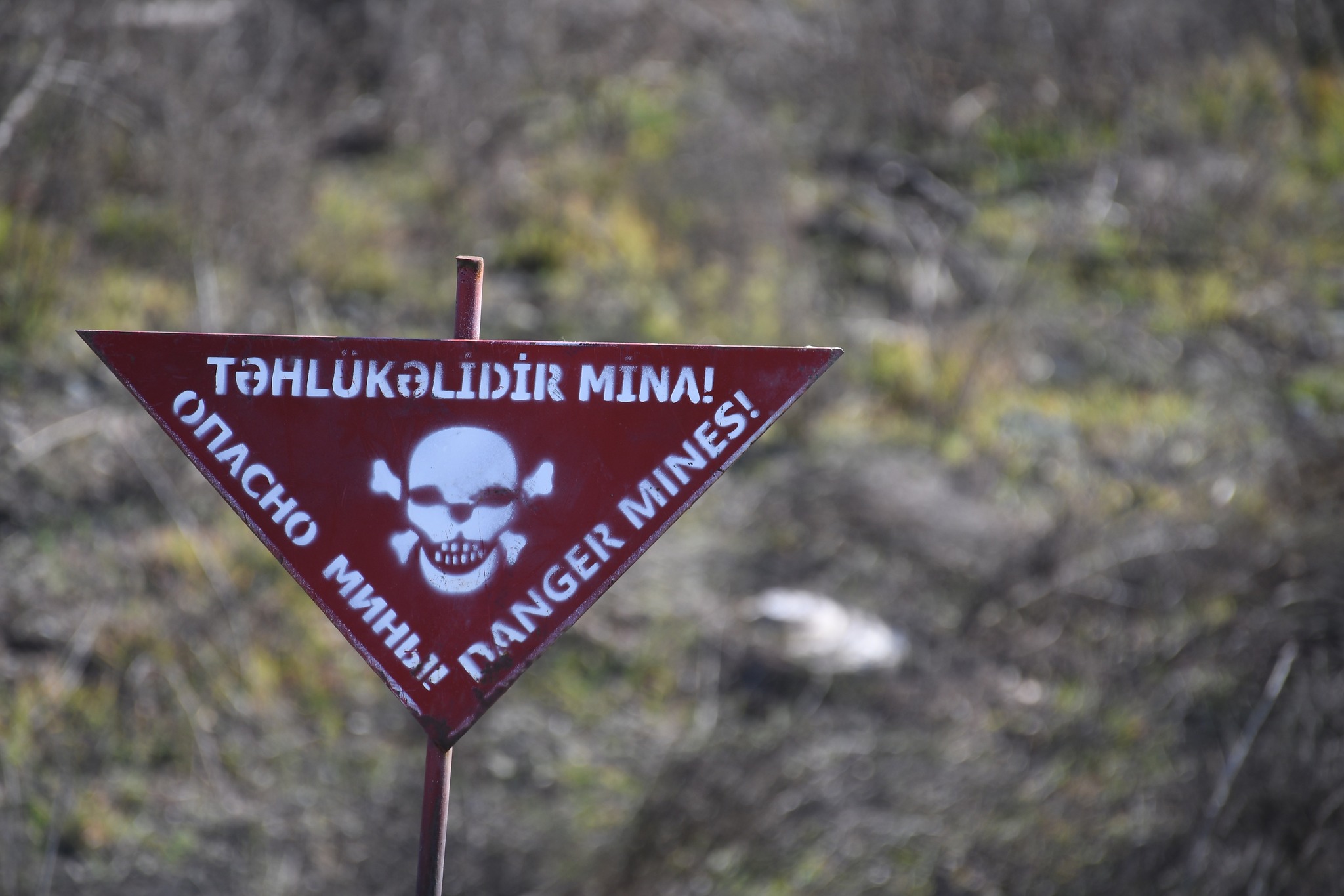 35 mines neutralized in Azerbaijan’s liberated lands last week