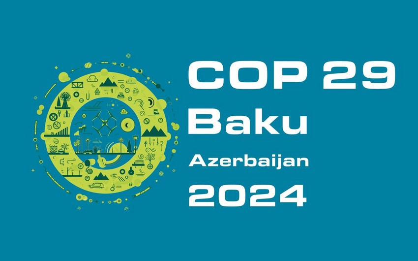 Garikai Nhongo: COP29 success will demonstrate political will to address climate crisis