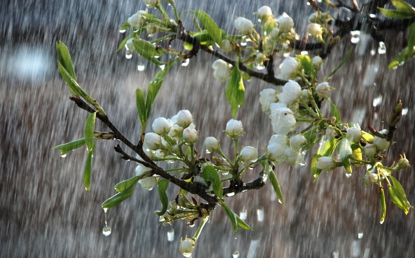 Azerbaijan weather forecast for July 18